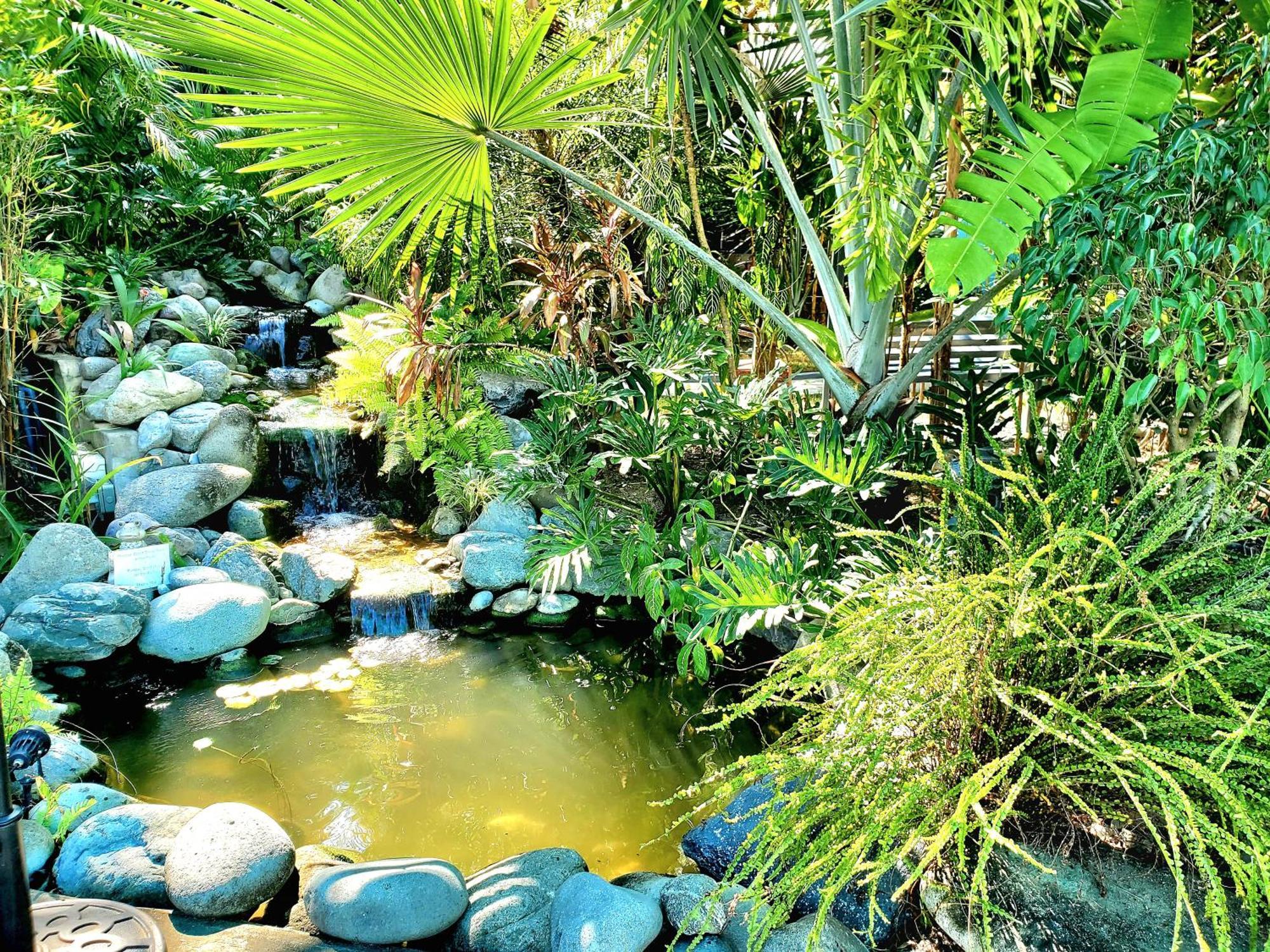 Hidden Palms Inn San Juan  Kültér fotó